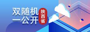 雙隨機(jī)一公開(陜西省)