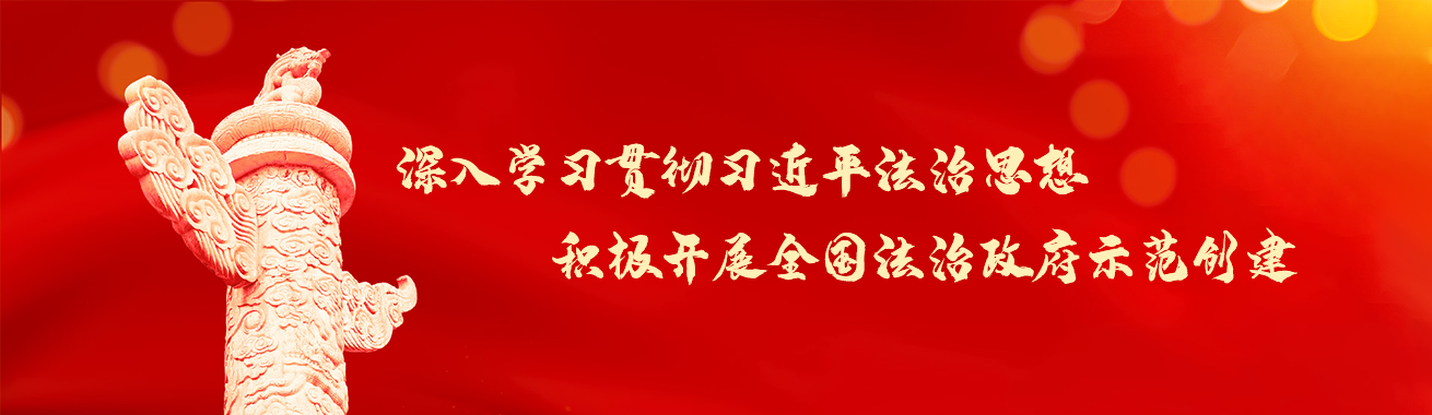 法治政府建設