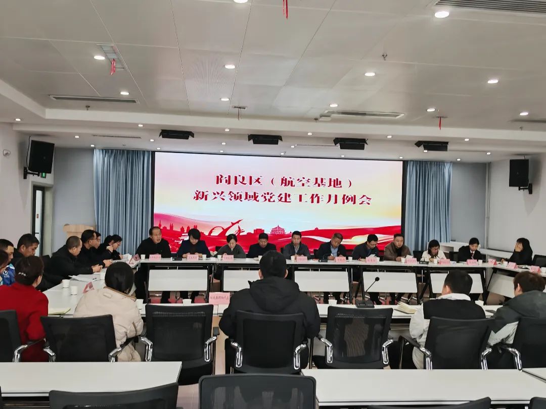 閻良區(qū)召開新興領(lǐng)域黨建工作月例會